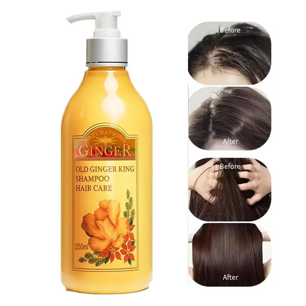 250ml Old Ginger Juice Hair Shampoo Professional Hair Scalp Treatment Oil Control Dense Anti Hair Loss