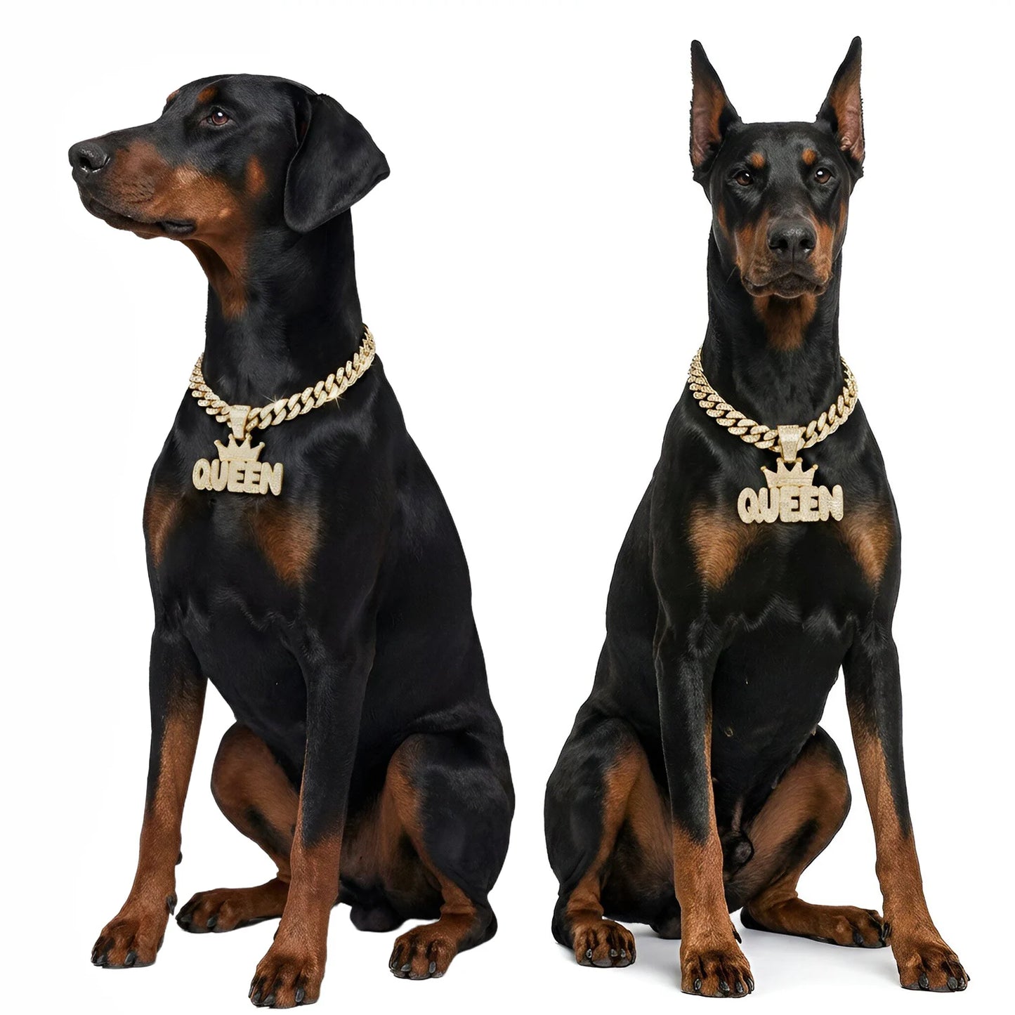 Cuban Dog Chain, Alloy Pet Dog Collar, Gold Necklace for Small to Large Dogs CEO BOSS Luxury Pendant Jewelry Accessory 2026 NEW