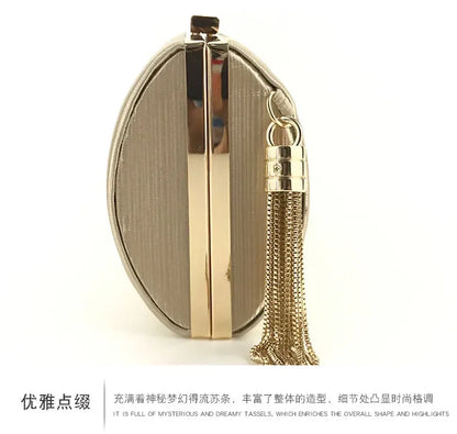 2024 New Fashion Women Evening Bags Tassel Ladies Clutch Purse Shoulder Chain Wedding Party Handbags Bags