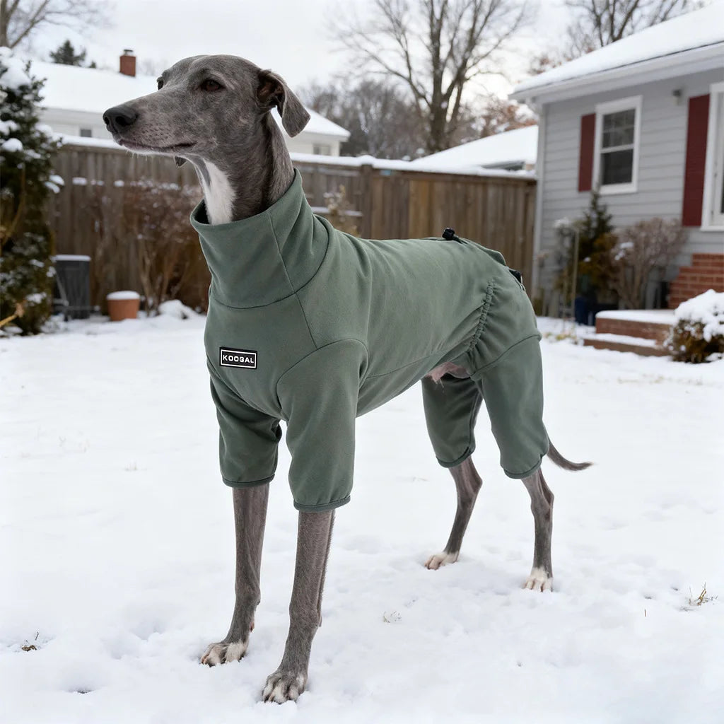 Spring Winter Velvet Four Leg Sweatshirt for Huibit Autumn Warm Green Coat for Bedlington Italy Greyhound Coffee Green Pajamas