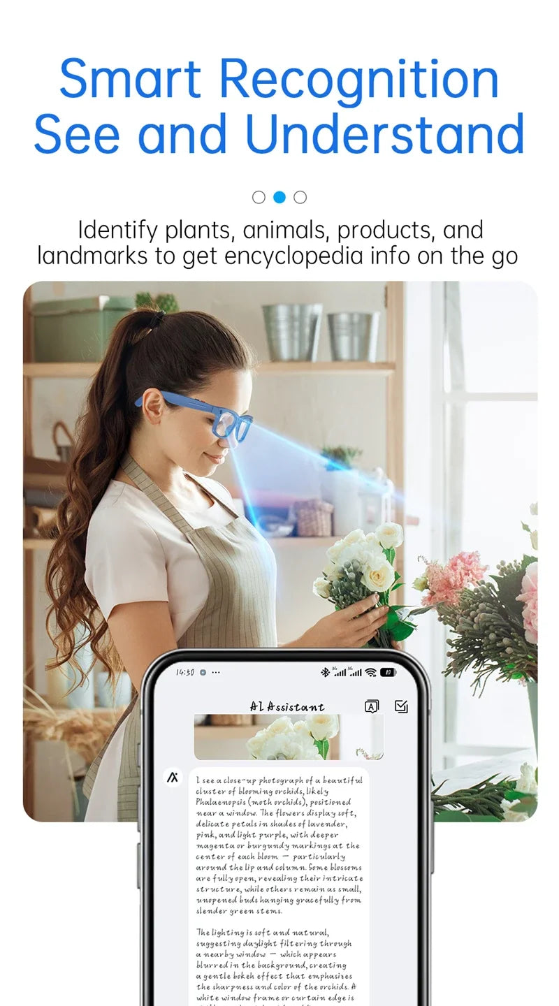 Smart Glasses AI Translation 8MP HD Camera 4K Shooting Image Bluetooth Call Recording Music Smart Sunglasses