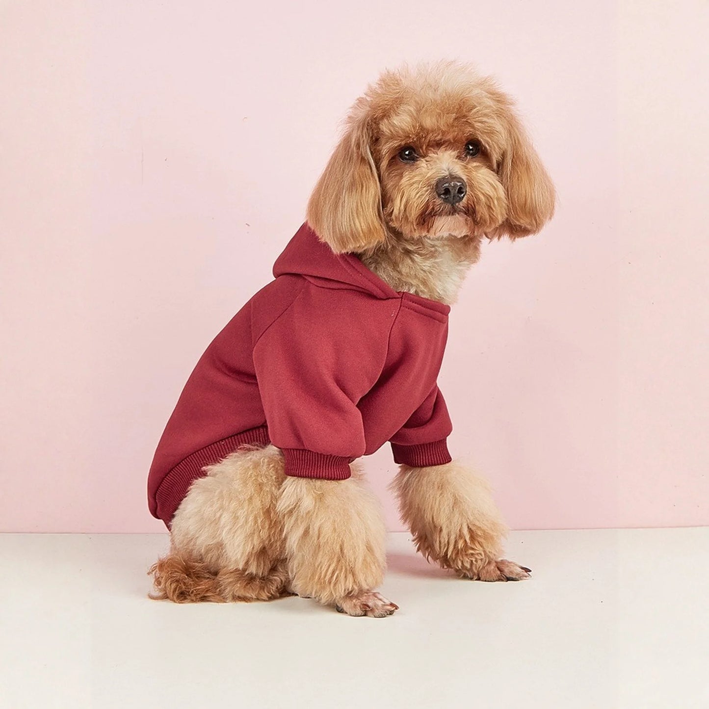 Winter Dog Clothes Sport Hoodies Sweatshirts Warm Coat Clothing Autumn For Small Medium Large Dogs Big Dogs Cat Pets PUppy