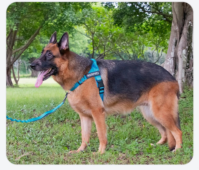 Personalized Reflective No Pull Harness for Small Medium Dog Washable Explosion-proof Comfort Dog Harnesses Pechera Para Perro