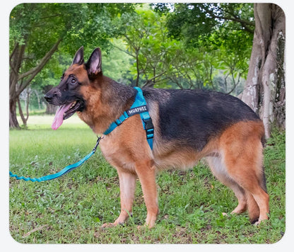 Personalized Reflective No Pull Harness for Small Medium Dog Washable Explosion-proof Comfort Dog Harnesses Pechera Para Perro