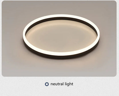 Modern Bedroom led Ceiling Lights Round Remote Control Dimmable led Living Room Ceiling Light White/Black Indoor Ceiling Lights