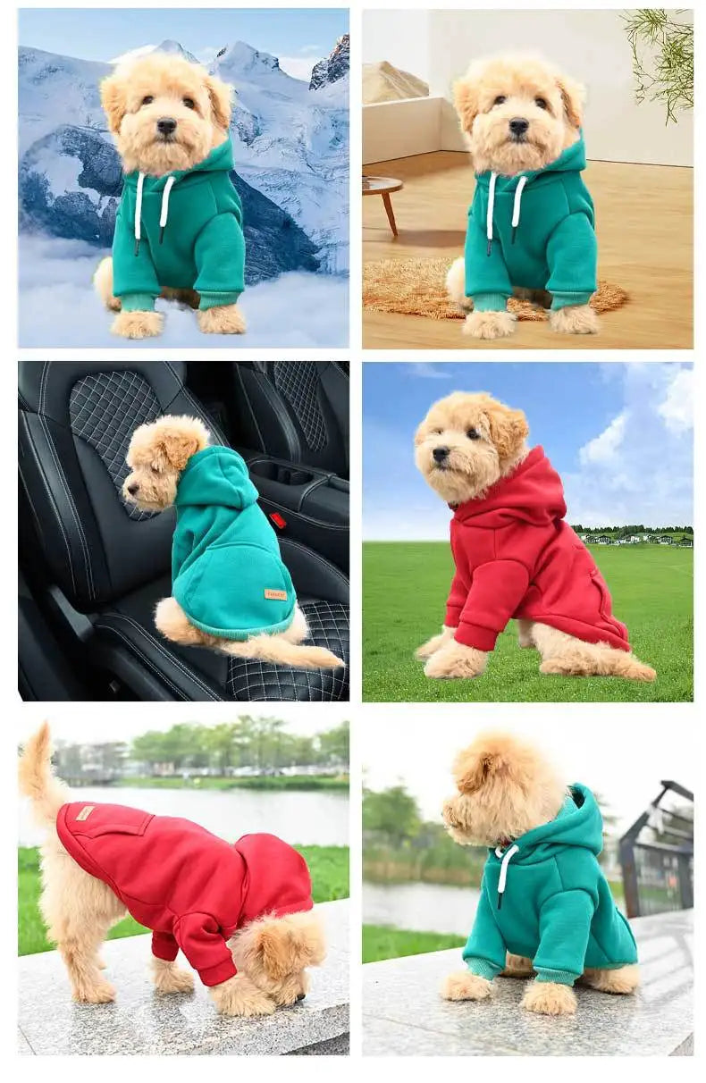 Dog hooded sweatshirt for small and medium-sized dogs, new for autumn and winter
