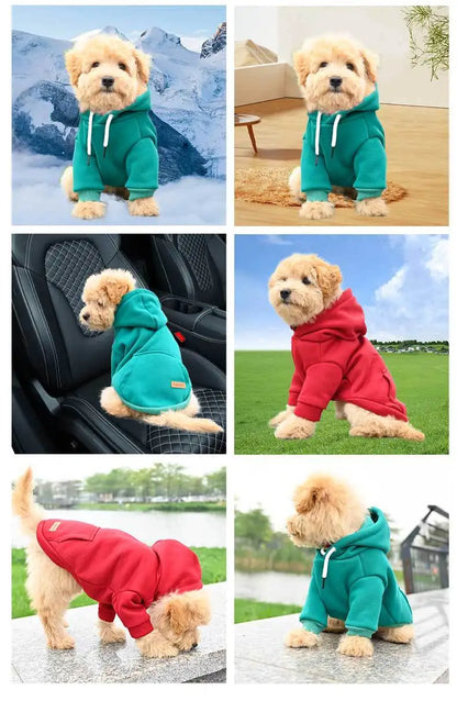 Dog hooded sweatshirt for small and medium-sized dogs, new for autumn and winter