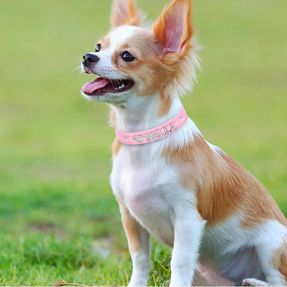 Personalized Small Dogs Chihuahua Collar Bling Rhinestone Dog Collars Free Custom Pet Dogs Cats Name Charms Pet Accessories