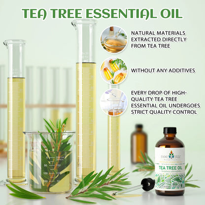 EVOKE OCCU Tea tree Essential Oils, 118ML/4 Fl.Oz. Premium Plant Oil for Hair&Nail Care Diffuser Soap Making, Add to Shampoo