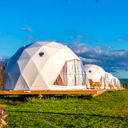 Transparent Geodesic Dome Tent, Luxury Igloo Greenhouse House Clear Bubble Dome Shelter for Backyard Garden Outdoor Activities