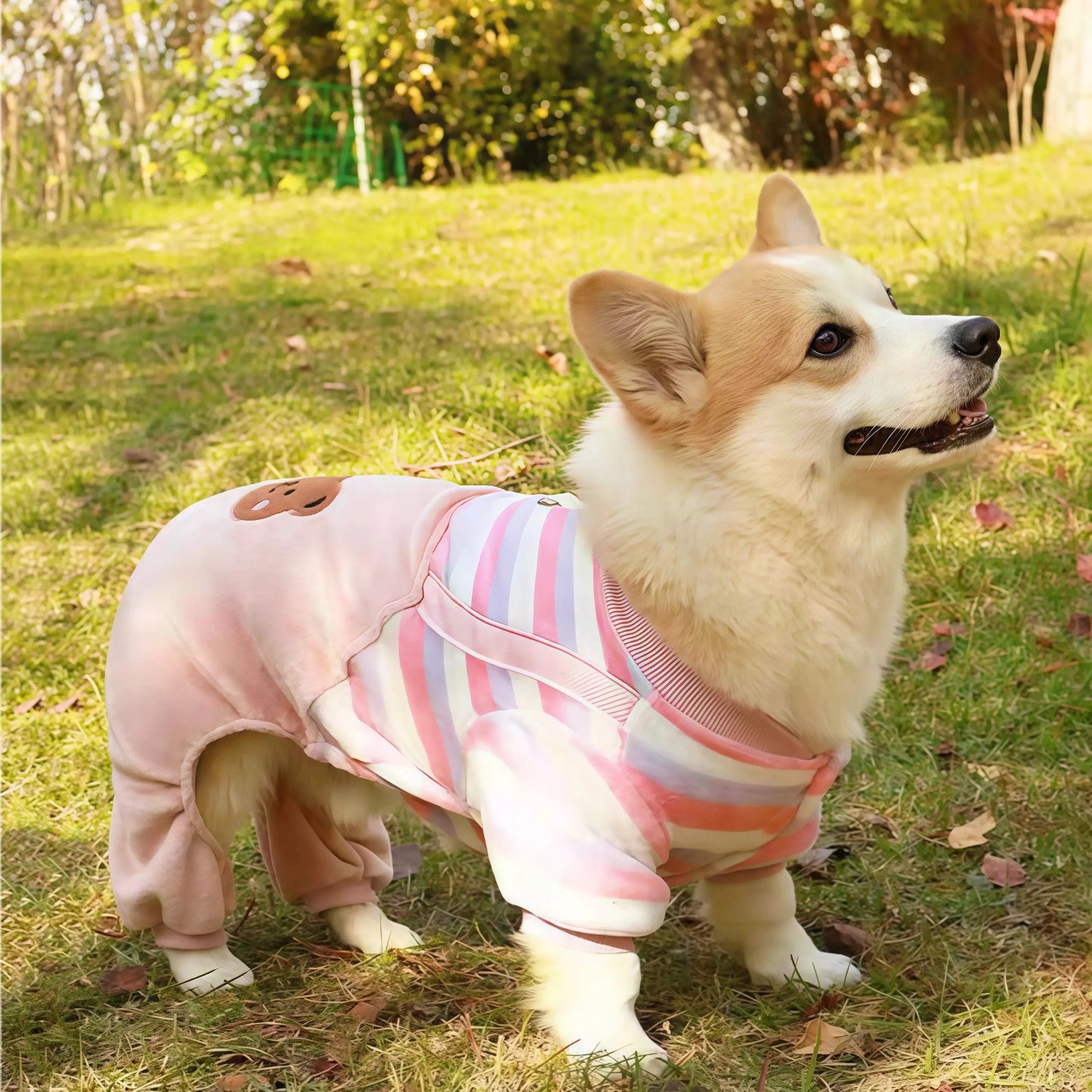 Autumn Winter Pet Dog Soft Fleece Clothes Warm Jumpsuit Coat for Small Medium Large Dog Cat Puppy Jacket Sweater with Leash Ring