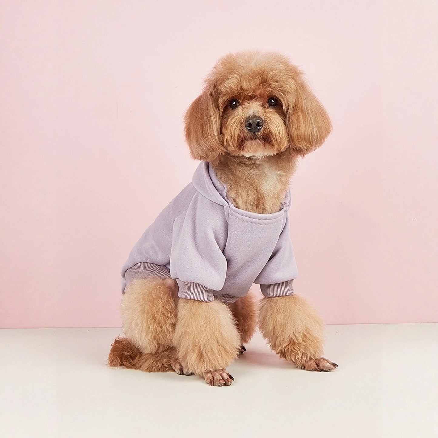 Winter Dog Clothes Sport Hoodies Sweatshirts Warm Coat Clothing Autumn For Small Medium Large Dogs Big Dogs Cat Pets PUppy