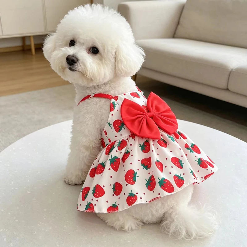Puppy Summer Dress Dog Cat Princess Dress Pet Clothes for Small Medium Dogs Printed Bow Kitten Dog Skirt Yorkshire Teddy Apparel