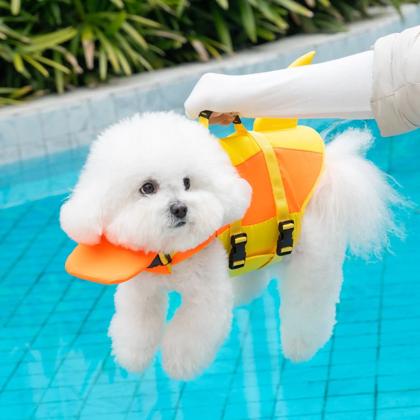Pet Swimming Life Jacket Safety Vest For Dogs Swim Adjustable in Pool Surfing Drifting Dog Clothes Life Rescue Vest With Tail