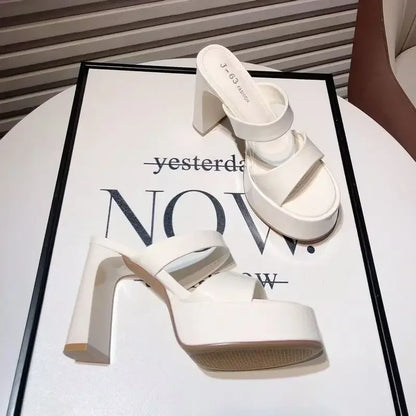 Sexy Super High Heels Women Slippers Chunky Fashion Shoes Pumps Sandals New Party Luxury Flip Flops Walking Mujer Flip Flops