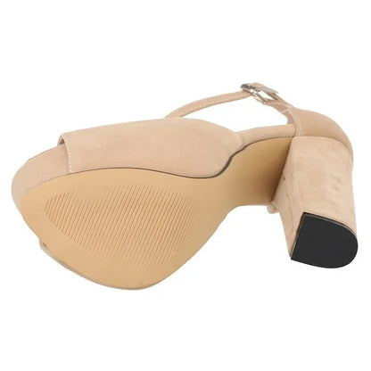 Platform Open Toe High Heels Summer Women Ankle Strap Sandals Sexy 14cm High Heels Buckle Thick Pumps Wedding Jazz Dance Shoes
