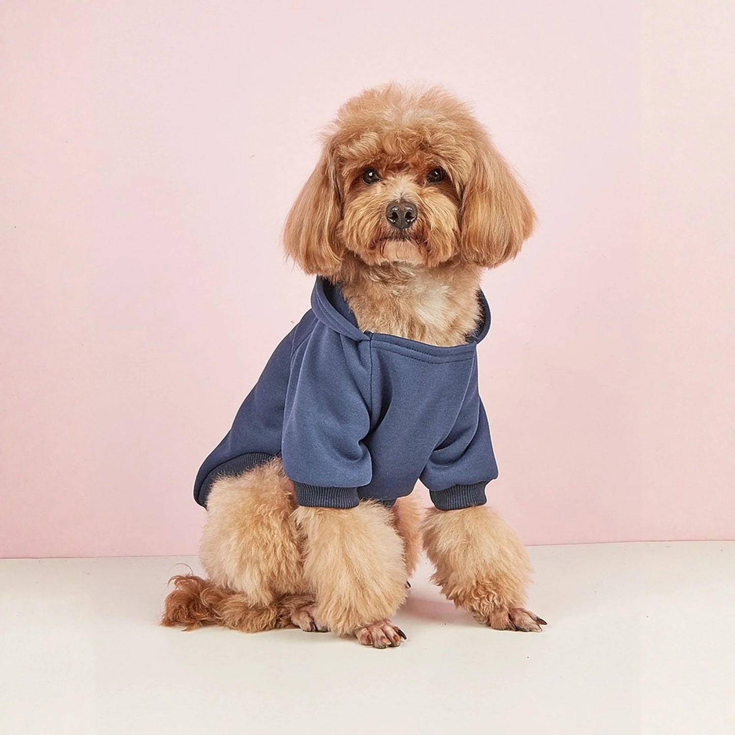 Winter Dog Clothes Sport Hoodies Sweatshirts Warm Coat Clothing Autumn For Small Medium Large Dogs Big Dogs Cat Pets PUppy