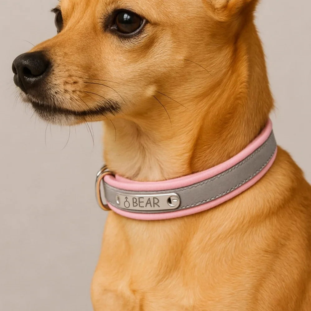 Dog Collar PU Leather Engraved - Customized with Name, Unique Gift for Dog Lovers, Adjustable Puppy for Small Medium Large Breed