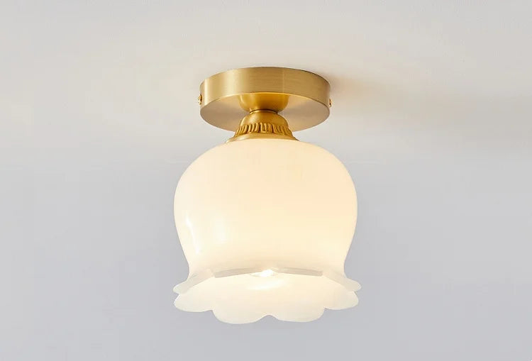 IWHD Home Lighting LED Ceiling Lights Decoration Aisle Porch Living Room Light Fixtures Nordic Ceiling Lamp Resin Copper Lustres
