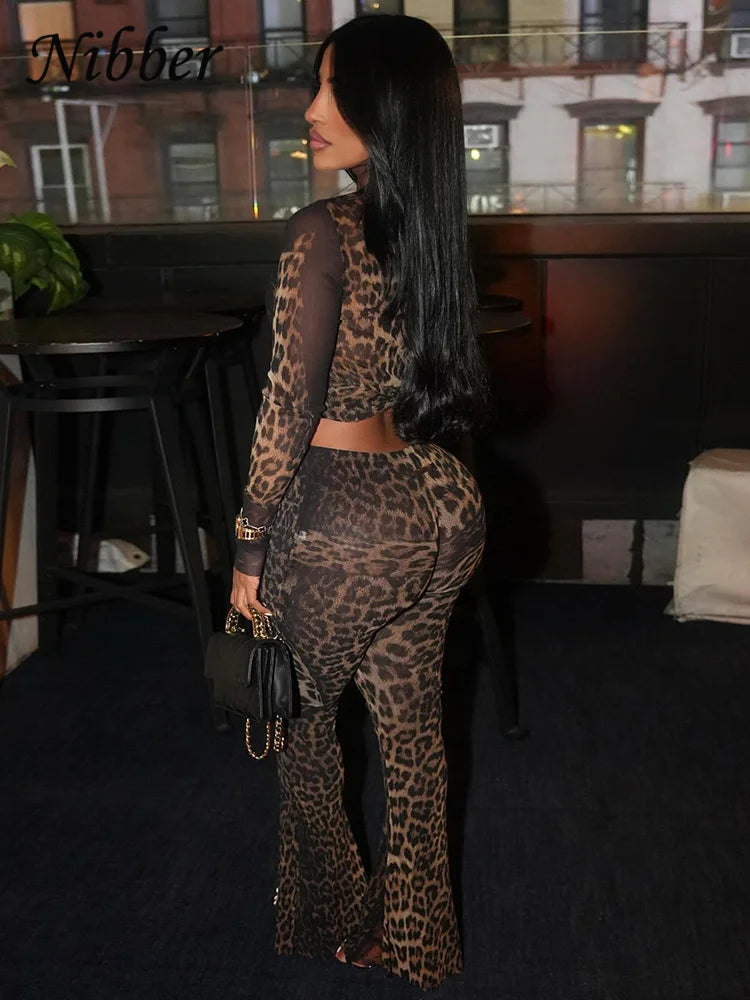 Nibber Sexy 2 Piece Set Women See Through Midnight Party Full Sleeve Crop Tops+Pants Matching Clubwear Skinny Autumn Outfits