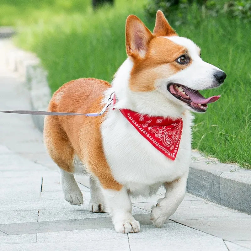 PU Cat Dog Collar with Scarf for Small Medium Dogs Chihuahua Corgi Puppy Adjustable Collars Pet Supplies Accesorios Para Perros