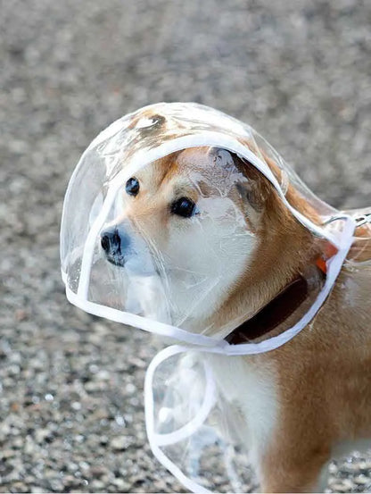 Dogs going out, transparent waterproof raincoat with hat pet raincoat