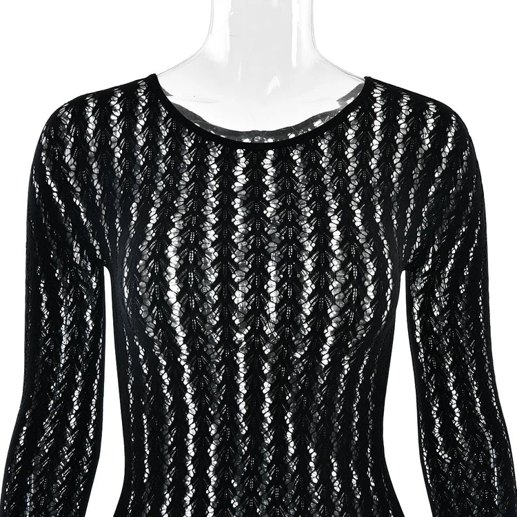 HLJ&GG Sexy Mesh Stretchy See Though Bodycon Jumpsuits Women Round Neck Long Sleeve Slim Playsuits Fashion Print Overalls 2025