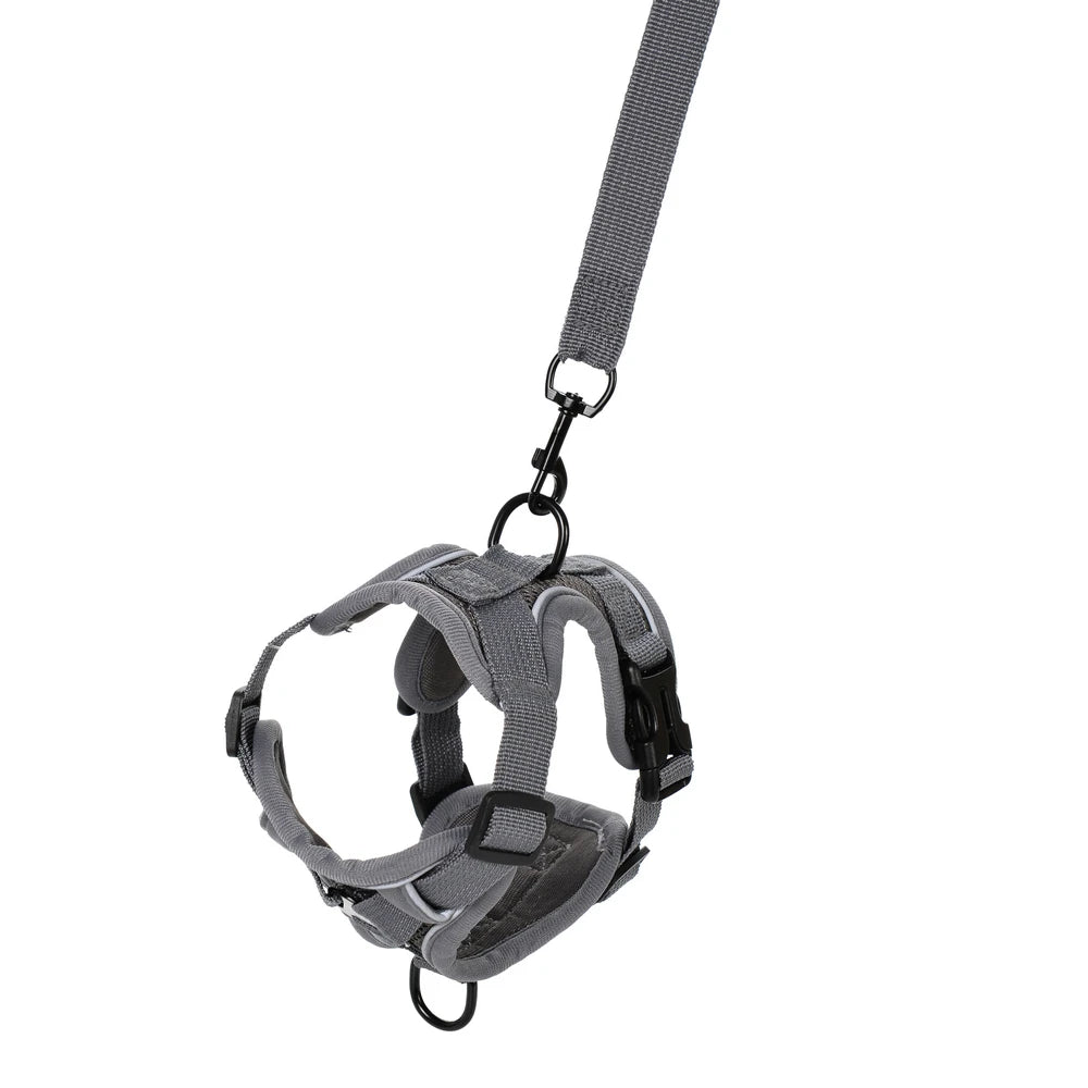 Dog Harness Leash Set For Small Medium Dogs Cat Hiking Adjustable Puppy Leash Reflective Harness Vest Chihuahua Pug Pet Supplies