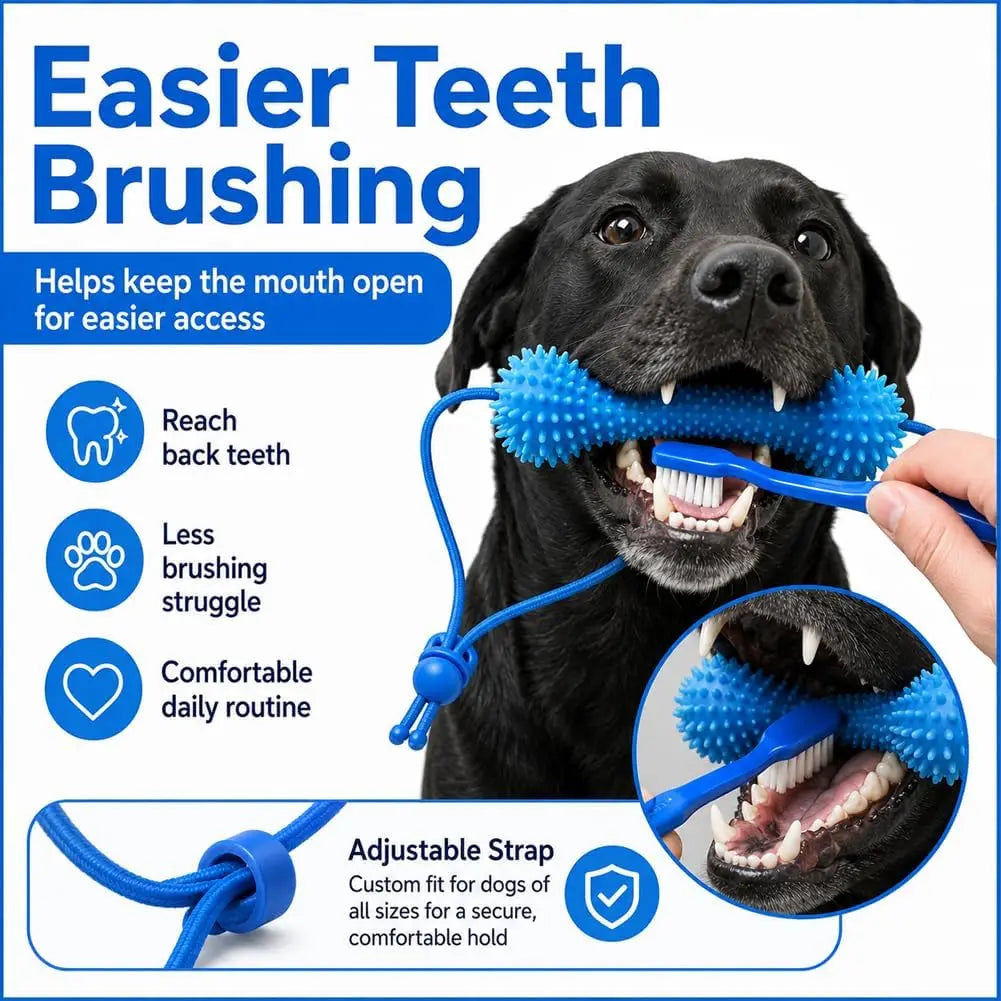 Dual-Action Canine Dental Prop, Dog Dental Chew Toy for Teeth Cleaning Brushing, Reusable Dental Chews for Dogs