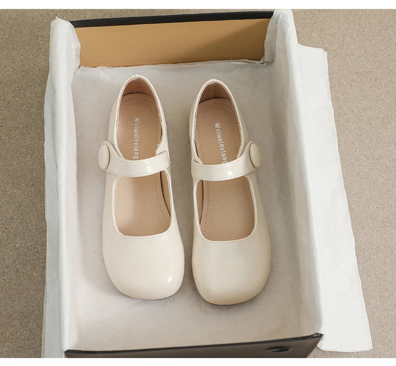 Women French Pointed Toe Flat Shoes Summer Fairy Style Patchwork Casual Shoes Elegant Shallow Footwear Matching Dresses Daily