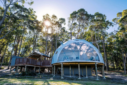 Transparent Geodesic Dome Tent, Luxury Igloo Greenhouse House Clear Bubble Dome Shelter for Backyard Garden Outdoor Activities