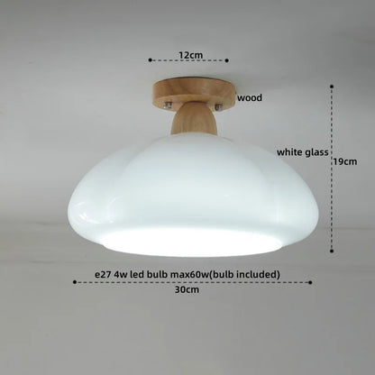 IWHD Home Lighting LED Ceiling Lights Decoration Aisle Porch Living Room Light Fixtures Nordic Ceiling Lamp Resin Copper Lustres