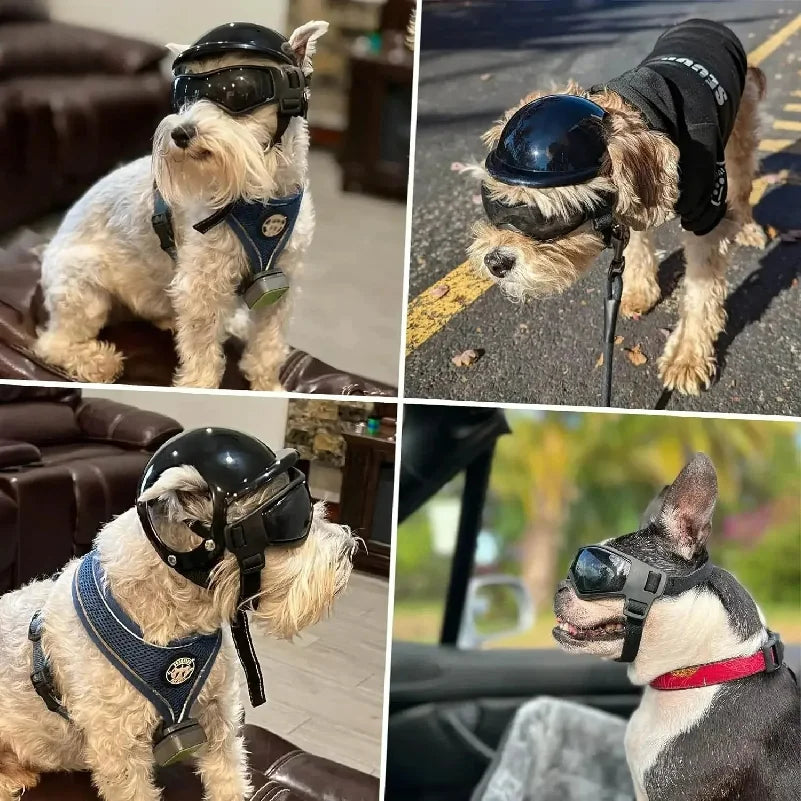 Dog Helmet and Dog Goggles for Small Dogs-Pet Motorcycle Helmet Hat with Ear Holes Adjustable Straps for Puppy Riding
