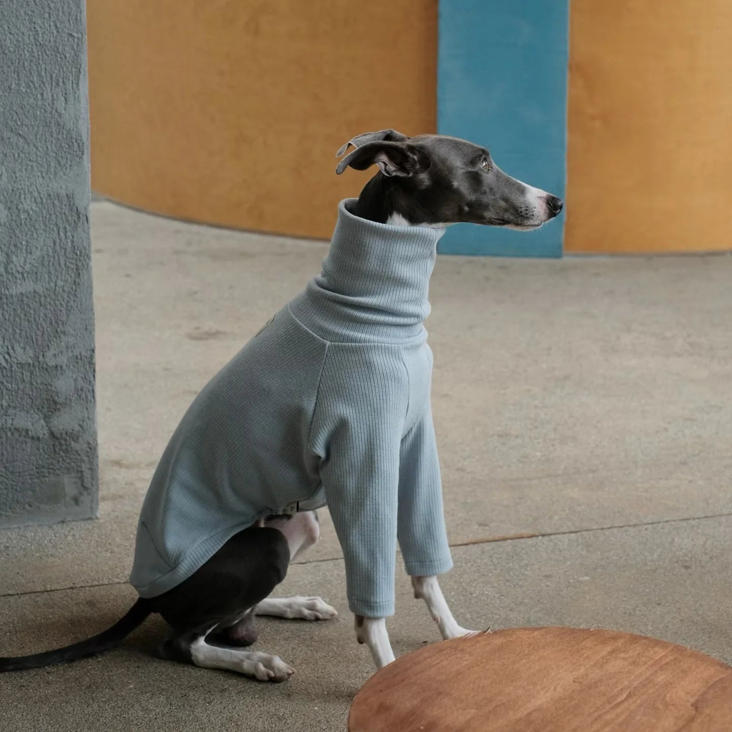 Spring Clothing for Italy Greyhound  Autumn Soft High-Neck Cotton Grey T-shirt for Whippet Winter Long Sleeved Pajamas for Dogs