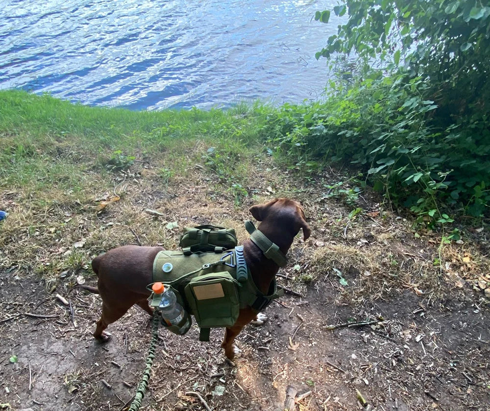 Tactical Dog Harness Collar Leash Molle Pouches For Medium Large Dogs Pet German Shepherd Training Walking Vest Dog Harnesses