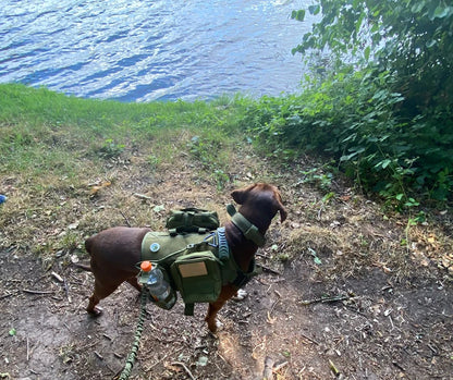 Tactical Dog Harness Collar Leash Molle Pouches For Medium Large Dogs Pet German Shepherd Training Walking Vest Dog Harnesses