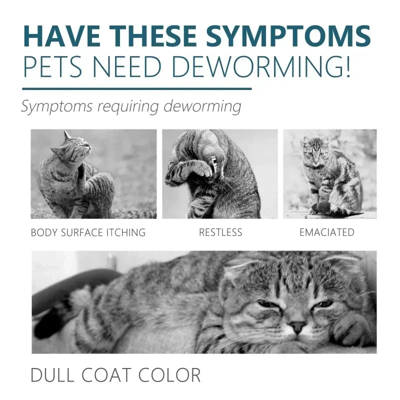 50ml Pet  Flea Tick Agent for Cats, Dogs, and Dogs. Extracorporeal Deworming  Cleaning Agent for Lice, Ticks, and Ticks