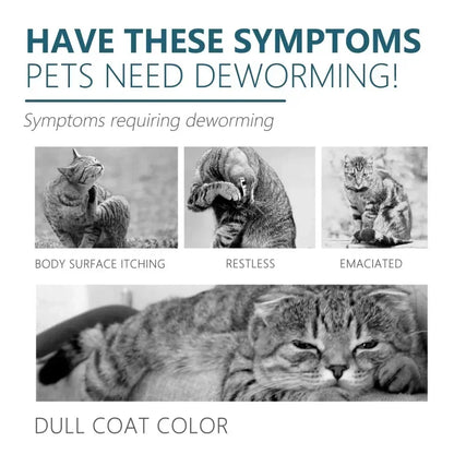 50ml Pet  Flea Tick Agent for Cats, Dogs, and Dogs. Extracorporeal Deworming  Cleaning Agent for Lice, Ticks, and Ticks