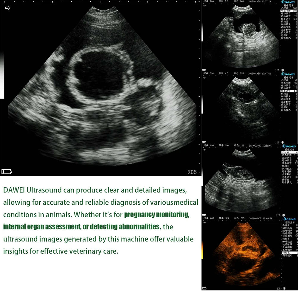 DAWEI Portable Veterinary Ultrasound Scanner Handheld Vet Pregnancy Machine for Horse Cattle Camel, 3.5MHz Rectal Probe