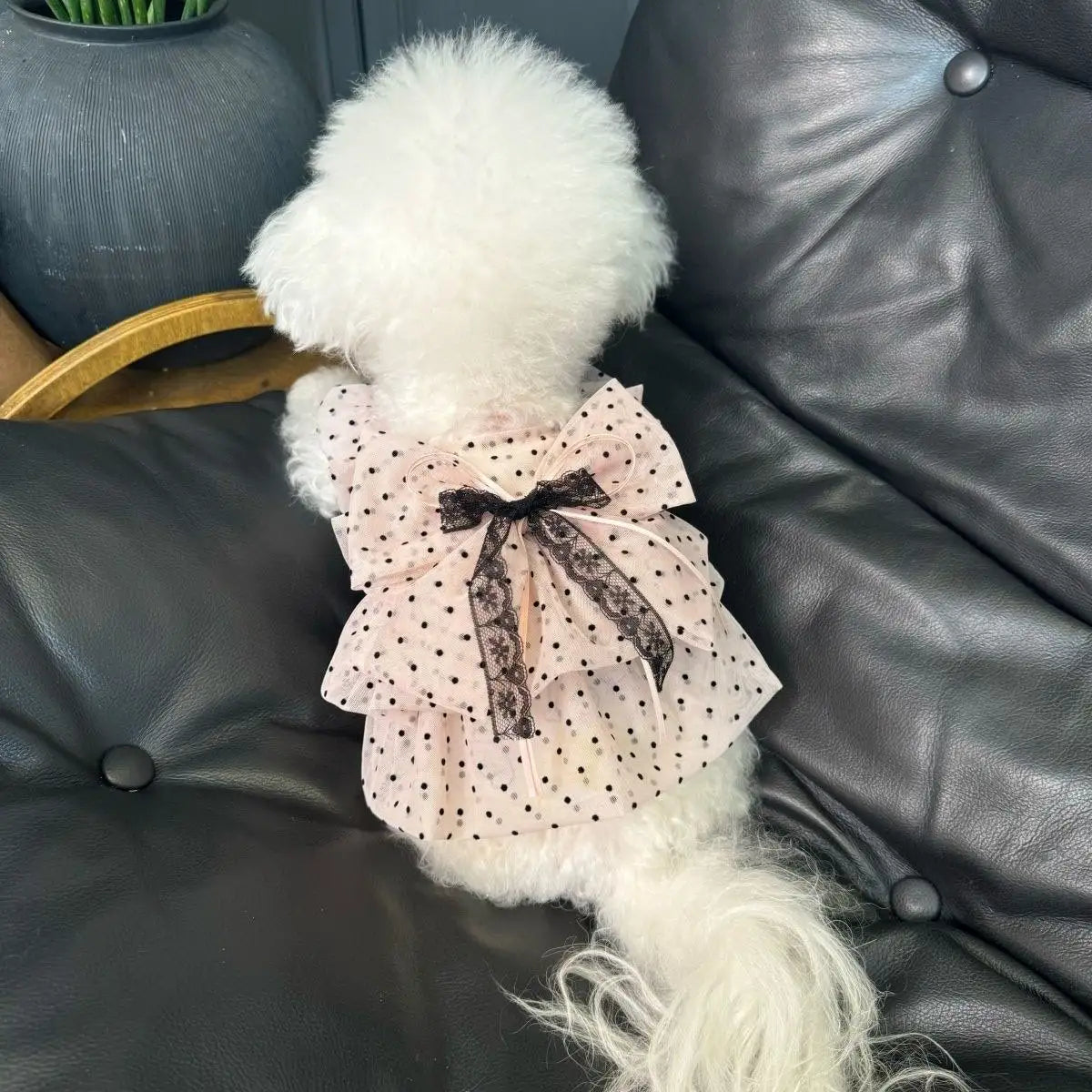 Pink Polka Dot Pet Princess Dress Breathable Sun Protection Sleeveless Tulle Dress with Lace Bow for Small Dogs Cats Pet Clothes