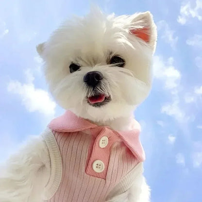 Fashion Pet Polo Shirt Spring Summer Breathable Casual Dog Clothes Soft Skin-friendly Puppy Sweatshirt for Small Medium Breeds