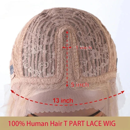 Debut Blonde Straight Lace Front Wigs 13x6x1 Lace Part Human Hair Wig For Women Transparent Lace Highlight Colored Remy Hair