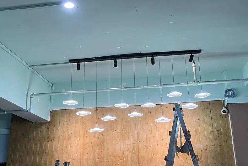 Modern home decor led lights pendant light lamps for living room Chandeliers for dining room hanging light indoor lighting