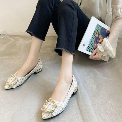 Spring Autumn Casual Fashion Pointed Toe Fabric High Heels Comfortable Simple Metal Decorated Low Heel Women's Shoes NO:A1701