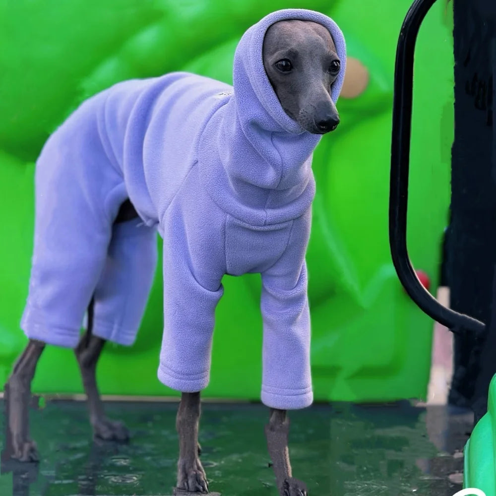 Winter Clothes for Dogs Warm 4-legged Purple Fleece Sweatshirt for Italian Greyhound Whippet Thick Solid Color Coat in Spring