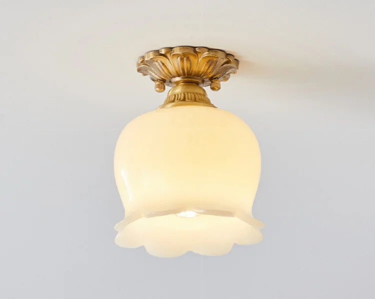 IWHD Home Lighting LED Ceiling Lights Decoration Aisle Porch Living Room Light Fixtures Nordic Ceiling Lamp Resin Copper Lustres
