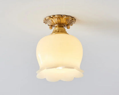 IWHD Home Lighting LED Ceiling Lights Decoration Aisle Porch Living Room Light Fixtures Nordic Ceiling Lamp Resin Copper Lustres