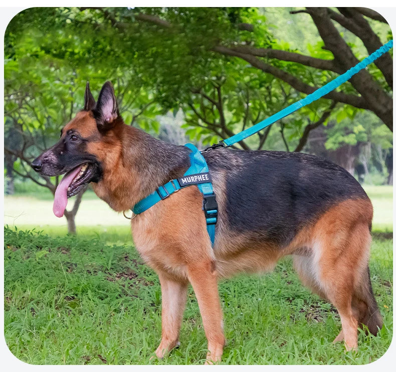Personalized Reflective No Pull Harness for Small Medium Dog Washable Explosion-proof Comfort Dog Harnesses Pechera Para Perro