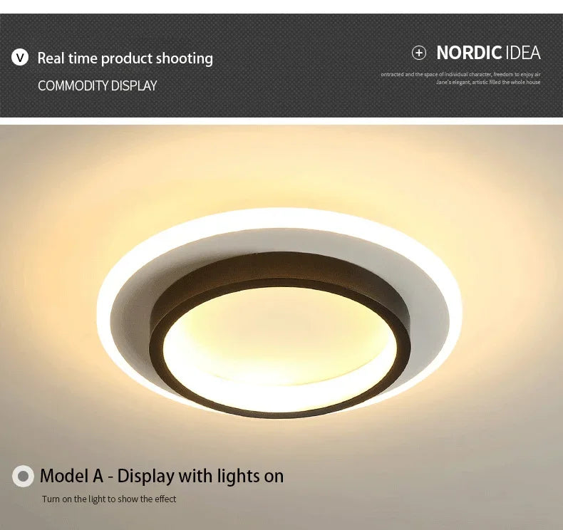 Modern 3 Color Temperature LED Ceiling Lamp Baked Enamel Many Styles Hallway Lamps Balcony Lights Bedroom Living Room 90V-260V