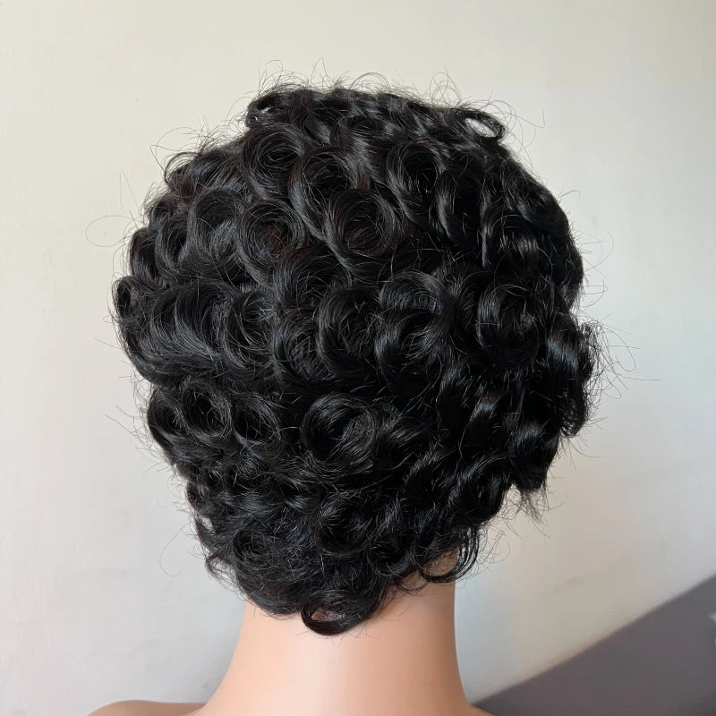 Premium Human Hair 13x4 Lace Frontal Wigs for Women 4inches Wavy Brazilian Remy Pre-Plucked Natural Hairline Ear To Ear Lace